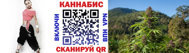 Где купить Петрозаводск Канабис  Меф  APVP  ГАШ  МЕТАДОН  Кокаин 