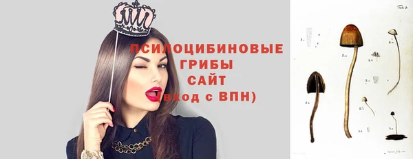 spice Алексеевка